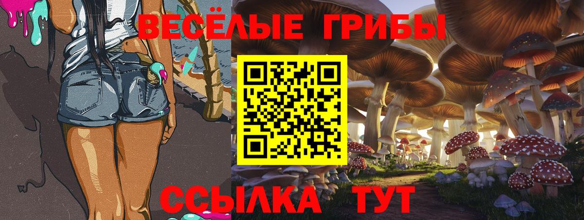 Галлюциногенные грибы ЛСД  Вход с VPN  Среднеуральск 